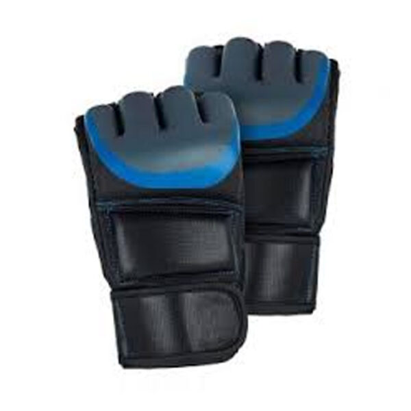 MMA Gloves