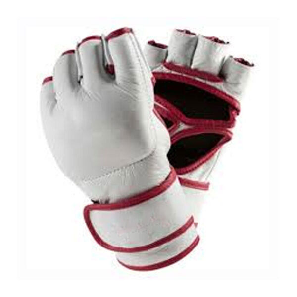 MMA Gloves