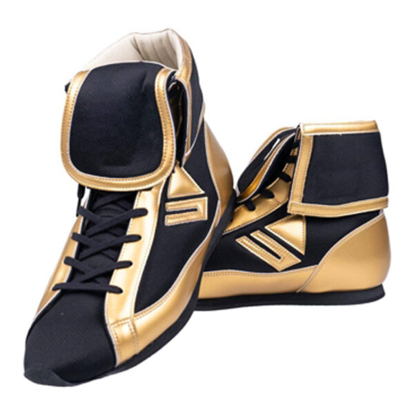 Boxing shoes