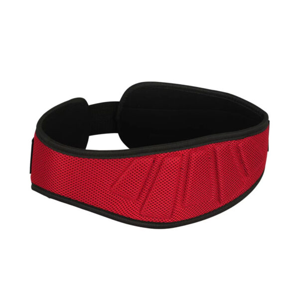 weight lifting belts